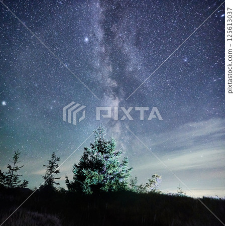 Brilliant night sky, filled with countless stars and Milky Way, illuminates silhouette of evergreen trees. Dark foreground contrasts with glowing celestial display, creating awe-inspiring scene. 125613037