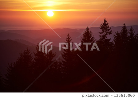 Sun sets in blaze of golden and orange hues, illuminating sky and casting warm glow over landscape. Silhouette pine trees stand tall against backdrop of rolling hills, creating captivating scene. 125613060