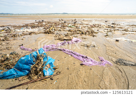 Polluted beach landscape showing discarded plastic waste and garbage scattered across coastal sand, environmental impact revealing marine ecosystem threat during tourist season, conservation awareness Polluted beach landscape showing discarded plastic waste and garbage scattered across coastal sand, environmental impact revealing marine ecosystem threat during tourist season, conservation awareness 125613121