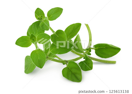 Oregano or marjoram leaves isolated on white background 125613138