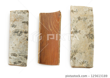 piece of aspen bark isolated on white background. Top view, flat lay 125613189