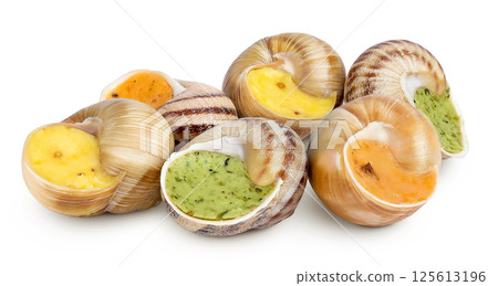 escargot snail filled with different fillings isolated on white background escargot snail filled with different fillings isolated on white background 125613196