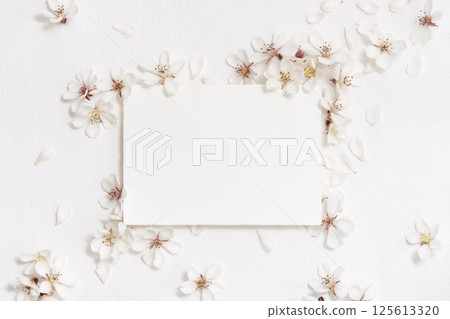 Blank horizontal paper card near white cherry flowers top view, spring wedding mockup 125613320