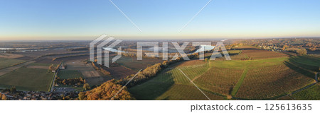 France, Gironde, Haut-Langoiran, Aerial view of the vineyard and wooded areas of Chateau de 125613635