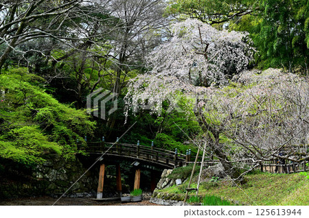 Hamamatsu Castle Park 125613944