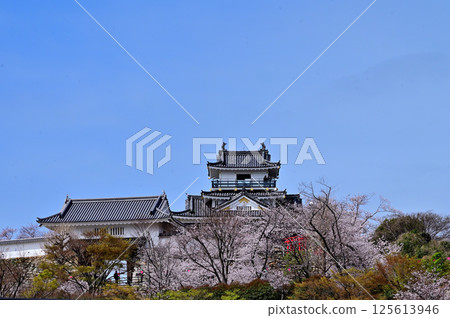 Hamamatsu Castle 125613946