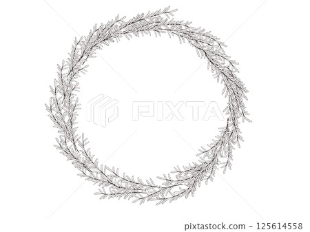 天然迷迭香葉,手繪線條描 天然迷迭香葉,手繪線條描 125614558