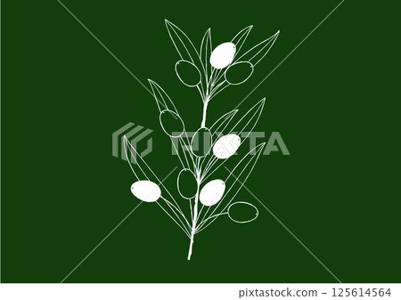 黑板上手繪的橄欖自然線畫:一枝橄欖 黑板上手繪的橄欖自然線畫:一枝橄欖 125614564