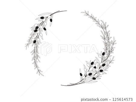 Natural olive and rosemary hand-drawn line drawing swag 125614573