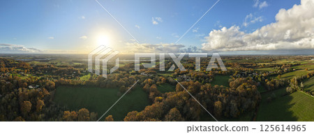 France, Gironde, Tabanac, Aerial view of the vineyard and wooded areas of Chateau le Pic in the 125614965