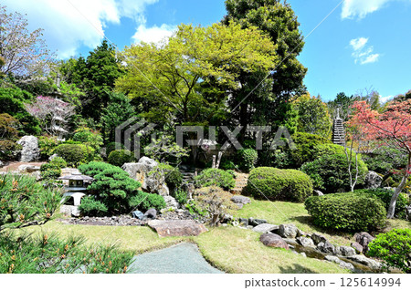 福二山蓮園 125614994