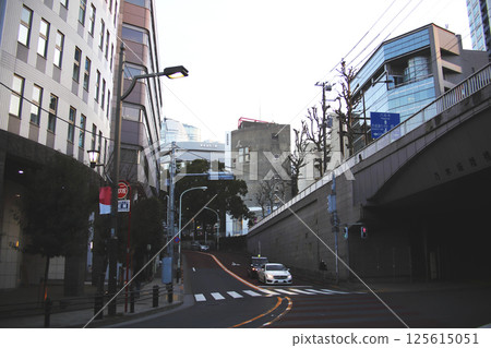Urban scenery around Nogizaka, Minato Ward 125615051