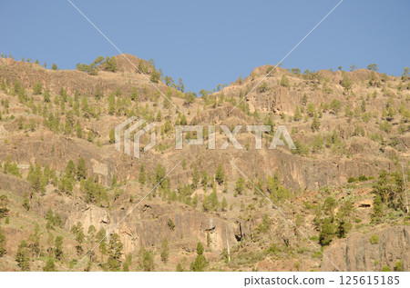 Cliff in the Arguineguin ravine. 125615185