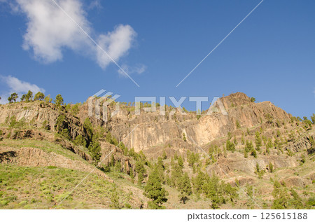 Cliff in the Arguineguin ravine. Cliff in the Arguineguin ravine. 125615188