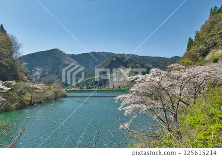 Coloring the lake - When the cherry blossoms dance, Lake Otomizu, Hyogo Prefecture Coloring the lake - When the cherry blossoms dance, Lake Otomizu, Hyogo Prefecture 125615214