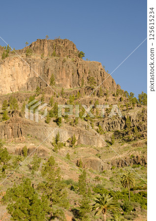 Cliff in the Arguineguin ravine. 125615234