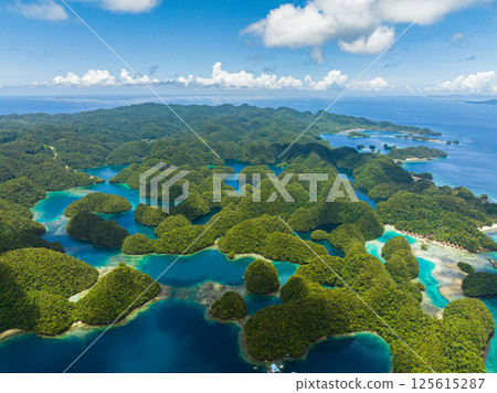 Beautiful tropical island with lagoons. Rainforest under clear blue sky. Bucas Grande Island. Philippines. Beautiful tropical island with lagoons. Rainforest under clear blue sky. Bucas Grande Island. Philippines. 125615287