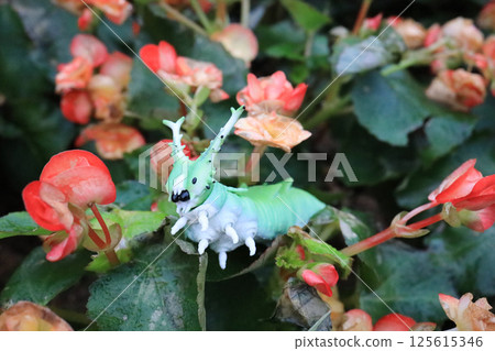 Toy Caterpillar Among Bright Red Flowers in a Garden 125615346