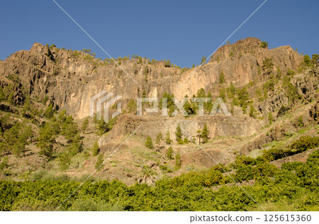 Cliff in the Arguineguin ravine. 125615360