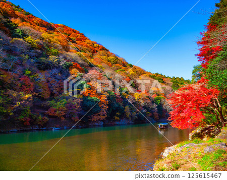 京都嵐山的秋葉和船屋 125615467