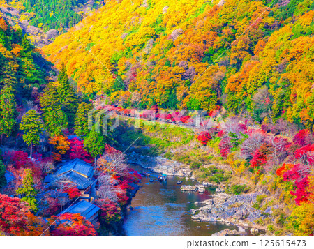 Kyoto Arashiyama Autumn leaves 125615473