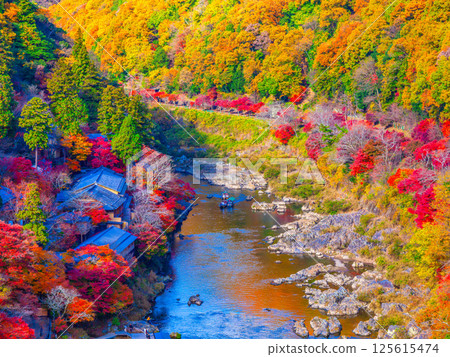 Kyoto Arashiyama Autumn leaves 125615474