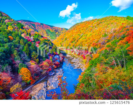 Kyoto Arashiyama Autumn leaves 125615476