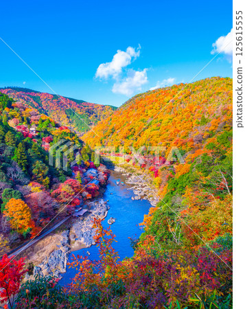 Kyoto Arashiyama Autumn leaves 125615555