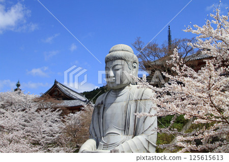 櫻花大佛 櫻花大佛 125615613
