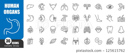 Human internal organs . Medical outline icon . Editable stroke . Vector . 125615762