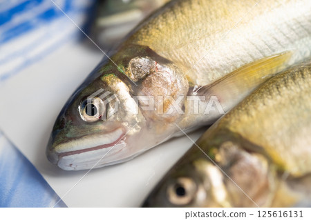 Image of sweetfish in a pack (stock photo) 125616131