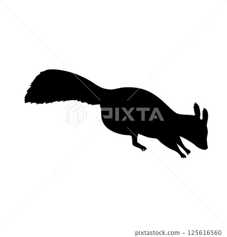Squirrel looking for something Monochrome silhouette illustration Squirrel looking for something Monochrome silhouette illustration 125616560
