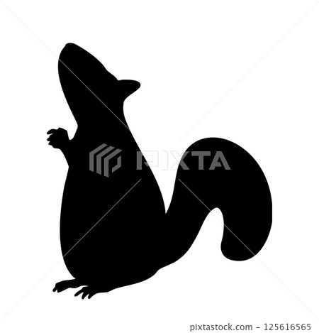 Squirrel looking up Monochrome silhouette illustration 125616565