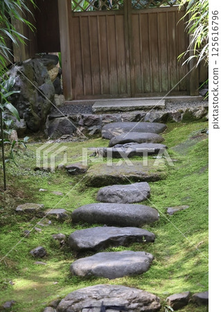 有踏腳石、綠色苔蘚和大門的景觀 125616796