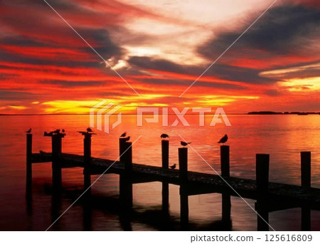 Red sunset on the lake with a wooden pier Red sunset on the lake with a wooden pier 125616809