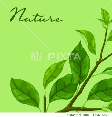Background with branches and leaves. Spring or summer stylized foliage. 125616872