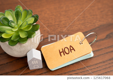 HOA Homeowners Association concept. Organization in a residential community that enforces rules and regulations, manages common areas, and provides services for the benefit of the neighborhood HOA Homeowners Association concept. Organization in a residential community that enforces rules and regulations, manages common areas, and provides services for the benefit of the neighborhood 125617068