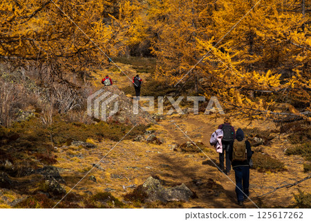 Group hiking through golden autumn forest on scenic mountain trail 125617262