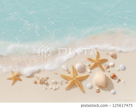 海星 貝殼 沙灘 125617475