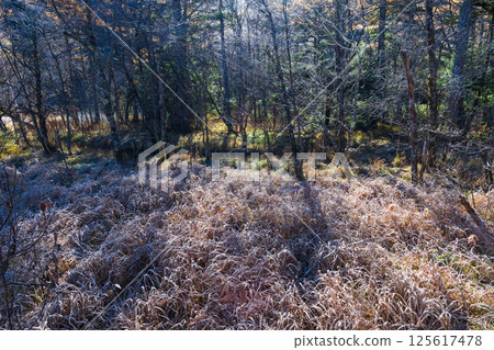 One of Japan's leading mountain resorts: Kamikochi in late autumn, Tashiro Marsh in the early morning One of Japan's leading mountain resorts: Kamikochi in late autumn, Tashiro Marsh in the early morning 125617478