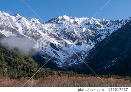 春天的上高地 125617487