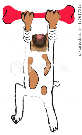 Humorous art collage. Licking pug cartoon character hanging from oversized red bone, as dumbbell, in gymnastic posture. 125617518