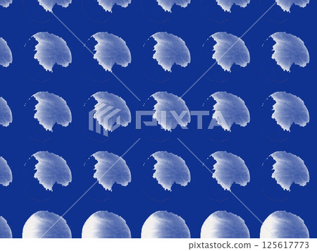 Planet Imagery Planet Imagery 125617773