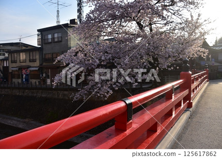 Spring in Takayama City, Gifu Prefecture, Japan. A view from the top of Nakabashi Bridge, a tourist attraction. Cherry blossoms in full bloom and the surrounding townscape. Beautiful blue sky and Miyagawa River. 125617862