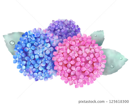 繡球花1 125618300