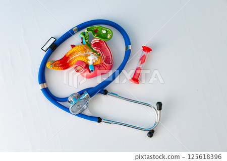 Healthcare and medical concept human pancreas and hourglass 125618396