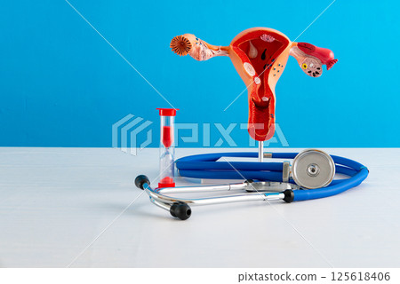 Healthcare and medical concept human female reproductive system and hourglass Healthcare and medical concept human female reproductive system and hourglass 125618406