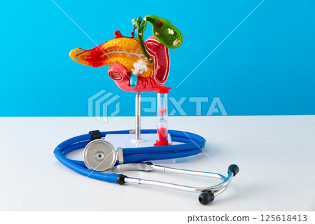 Healthcare and medical concept human pancreas and hourglass 125618413