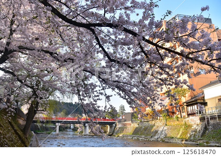 Spring in Takayama, Gifu Prefecture, Japan: Cherry blossoms in full bloom, tourist attractions Nakabashi Bridge and Miyagawa River, surrounding cityscape and beautiful blue sky 125618470