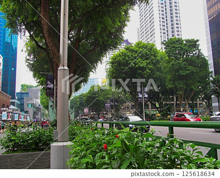 Singapore 1 Singapore 1 125618634